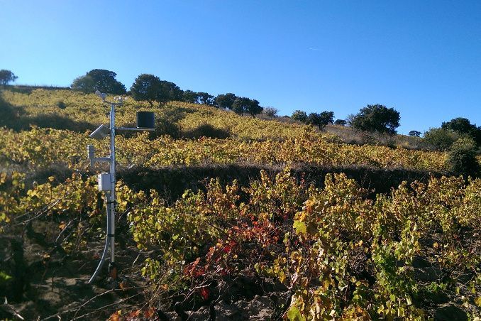 WiForAgri: realizzazione Rete per il Monitoraggio Agrometeorologico della Sardegna