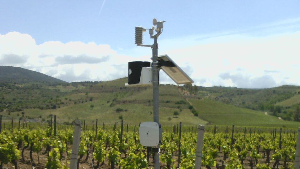 wiforwine_argiolas2